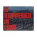 It Happened in Lodi Jigsaw Puzzle (520 pcs)